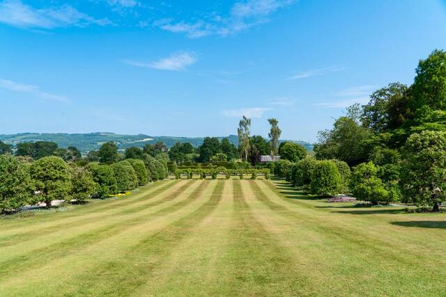Freshly mown lawn showing mower stripes beside a hedge