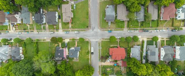 Top-down view of a tree-lined suburban street