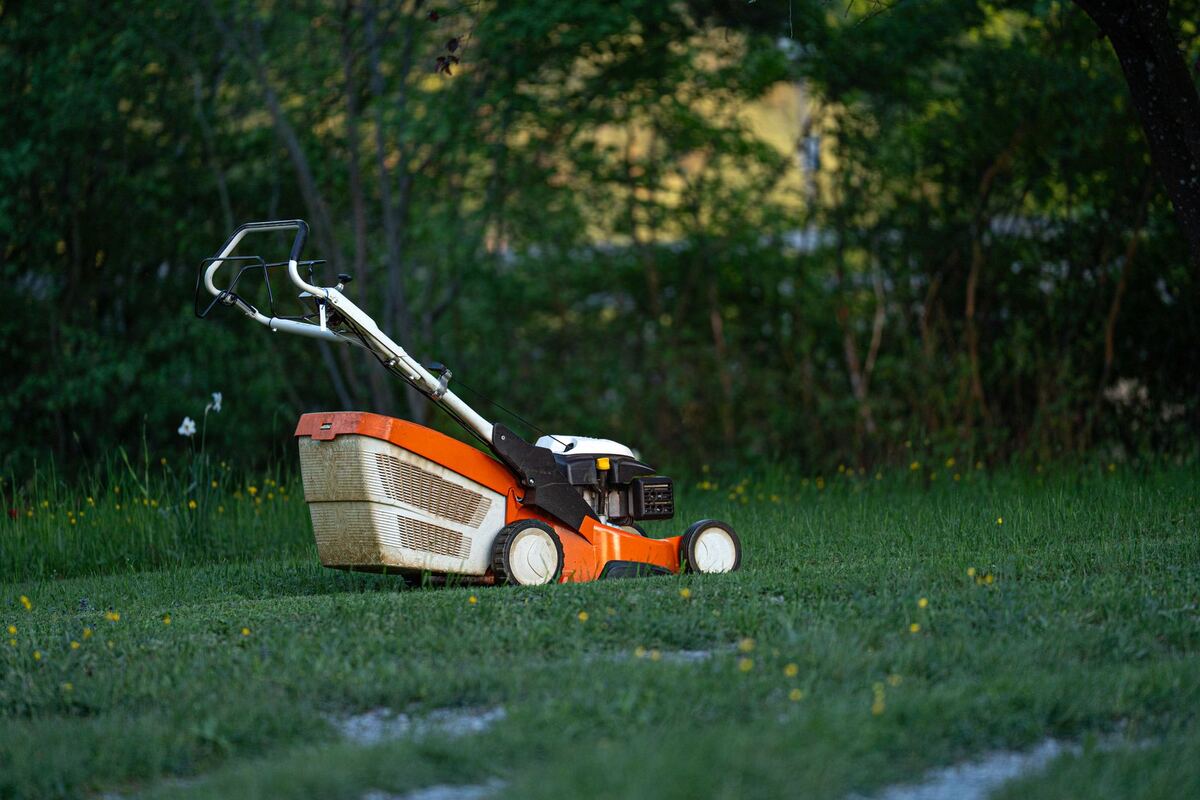Push mower standing on an uncut lawn